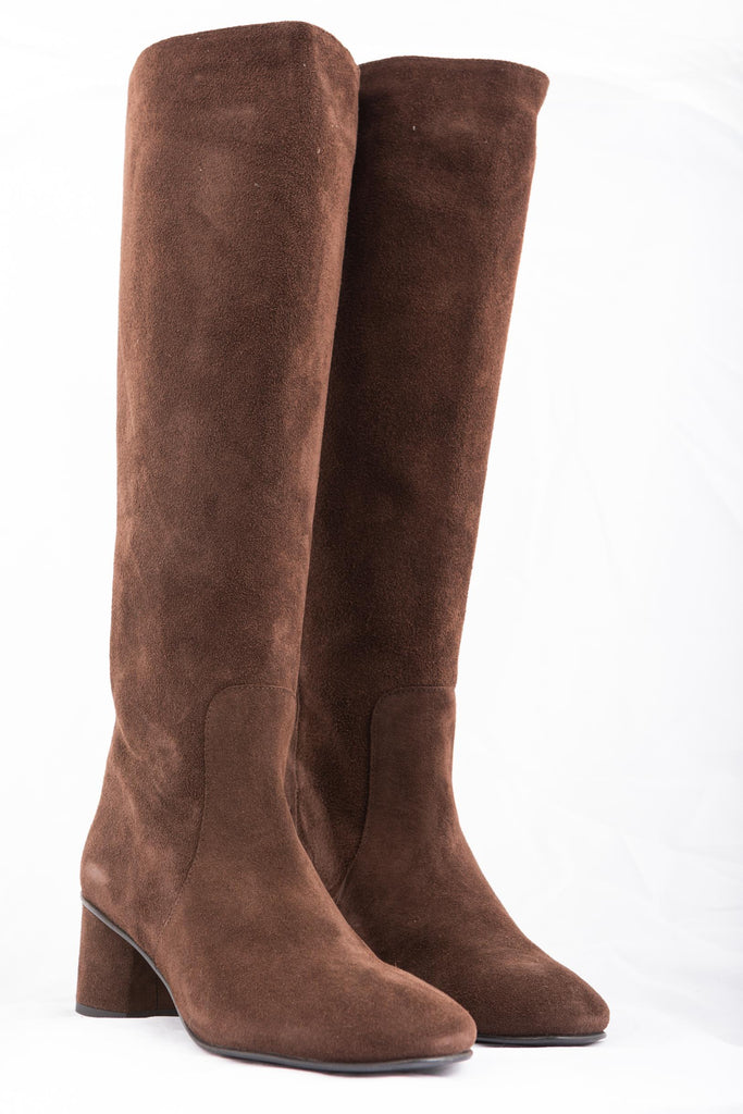 Stivale Camoscio Testa di moro 4200 T.MORO BAile 