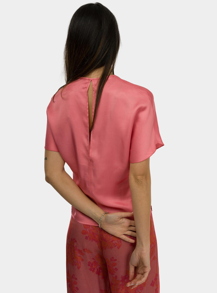 Top Salvia summer blush SALVIA 1295SUMMER BLUSH HANAMI D'OR 